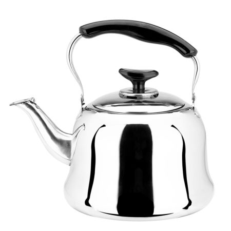 whistle stainless steel kettle