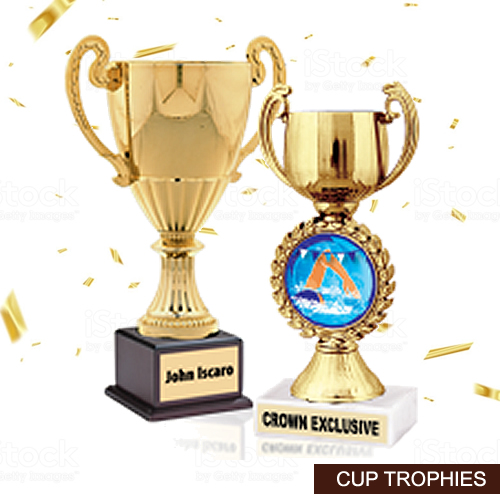 cup trophies in lagos nigeria