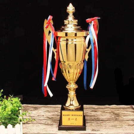 cheap award champions cup design