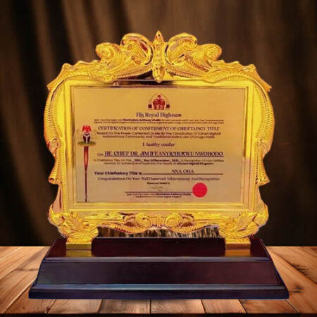 government politics achievement award plaque