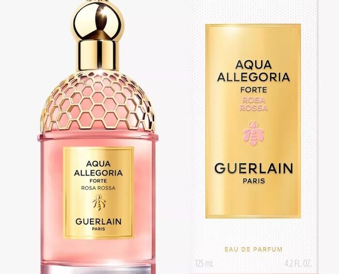 Eloquent Gift perfume collection